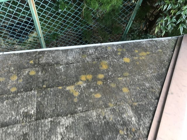 黄色い苔の生えたカラーベスト屋根
